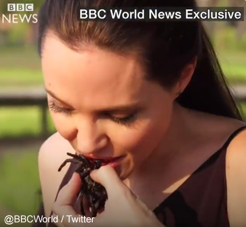 アンジェリーナ・ジョリーが、クモやコオロギ、サソリを料理して食べる動画公開される