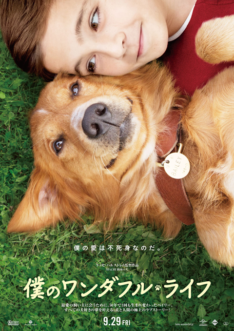 映画「僕のワンダフル・ライフ」、９月２９日公開決定！ 最愛の飼い主に会うため、転生を繰り返す犬が主人公