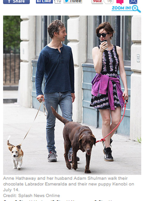 アン ハサウェイが新しく引き取った犬を夫と一緒にお散歩 犬の名前の由来は スター ウォーズ のあのキャラクター 海外ドラマ セレブニュース Tvグルーヴ モバイル版