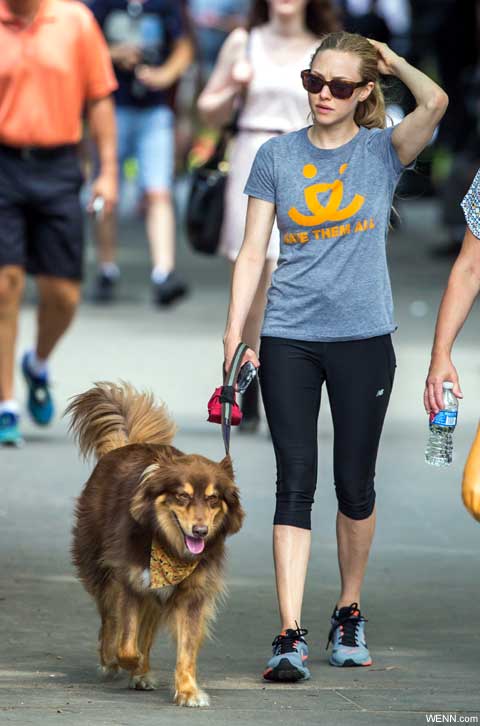 愛犬の散歩をするアマンダ・セイフライド