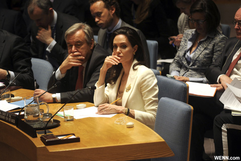 国連安全保障理事会の会議に出席する、アンジェリーナ・ジョリー
2015年4月
