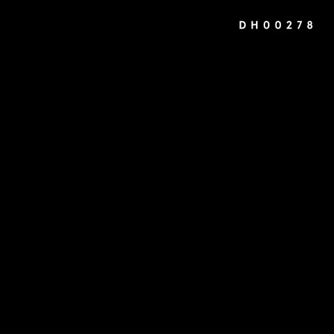 The 1975「DH00278 (Live from The O2, London. 16.12.16」