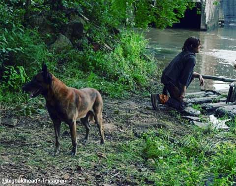 ノーマン・リーダスと、「犬」