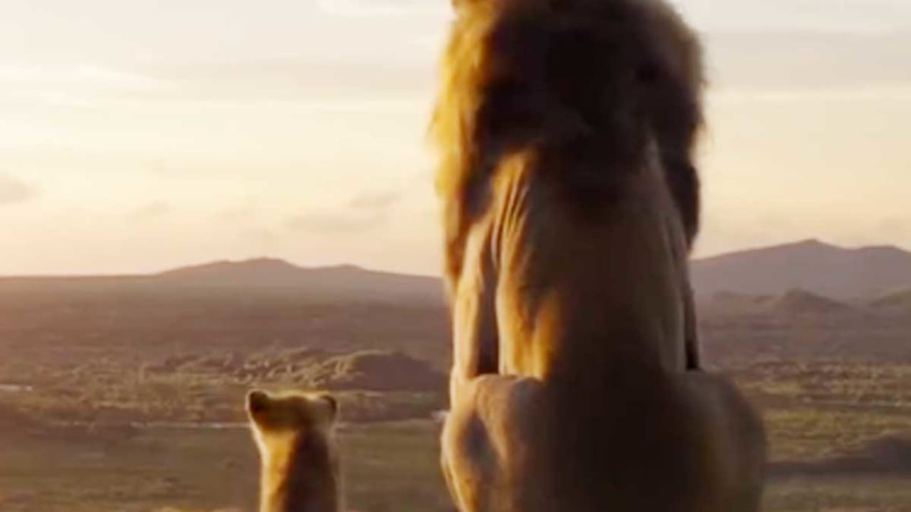 ネタバレあり ライオン キング に一つだけ実写のシーンがあったことが明らかに 監督が告白 みんな気づくか試したんだ 写真あり Tvgroove