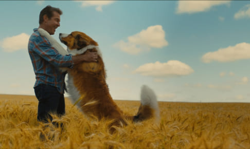 A Dog's Journey