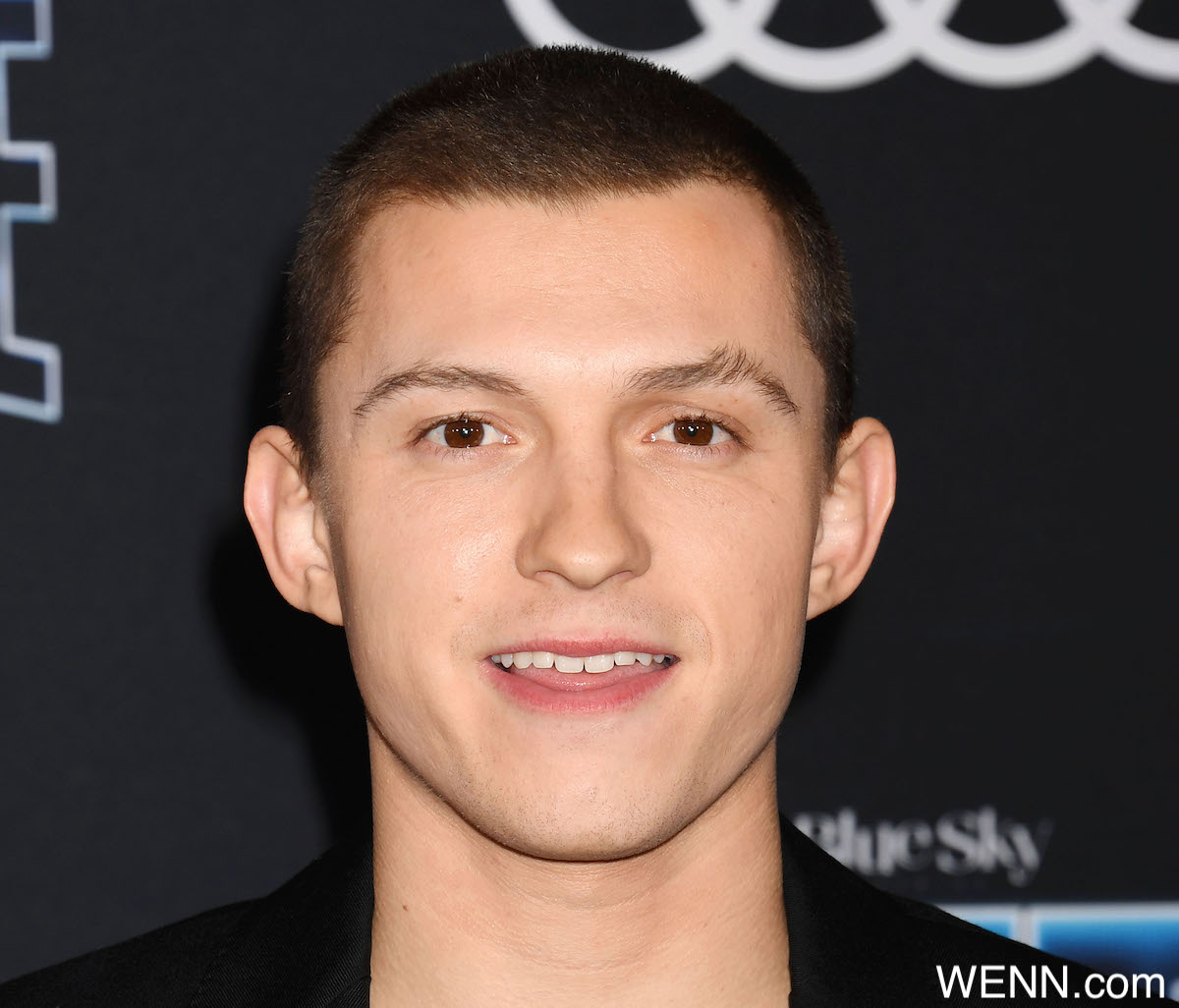 Tom Holland at the premiere of 20th Century Fox's "Spies In Disguise" at El Capitan Theatre on December 04, 2019 in Los Angeles, USA. Photograph: © Joe Sutter/PacificCoastNews. Los Angeles Office (PCN): +1 310.822.0419 UK Office (Avalon): +44 (0) 20 7421 6000 sales@pacificcoastnews.com Where: Hollywood, California, United States When: 04 Dec 2019 Credit: WENN/Avalon **WENN/Avalon**