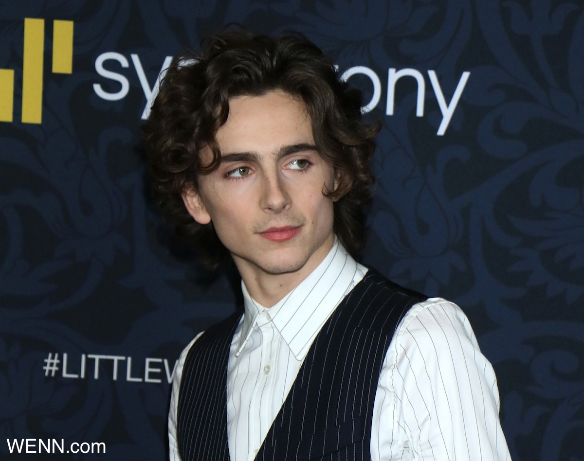 , New York, NY - 20191207 Columbia pictures and Regency Enterprises presents the world premiere of Little Women. -PICTURED: Timothee Chalamet -PHOTO by: ROGER WONG/INSTARimages.com Disclaimer: This is an editorial, rights-managed image. Please contact INSTAR Images for licensing fee and rights information at sales@instarimages.com or call +1 212 414 0207. This image may not be published in any way that is, or might be deemed to be, defamatory, libelous, pornographic, or obscene. Please consult our sales department for any clarification needed prior to publication and use. INSTAR Images reserves the right to pursue unauthorized users of this material. If you are in violation of our intellectual property rights or copyright you may be liable for damages, loss of income, any profits you derive from the unauthorized use of this material and, where appropriate, the cost of collection and/or any statutory damages awarded For images containing underage children: Be advised that some Countries may have restricted privacy laws against publishing images of underage children. Inform yourself! Underage children may need to be removed or have their face pixelated before publishing Where: New York, New York, United States When: 07 Dec 2019 Credit: WENN/Instar **WENN/Instar**