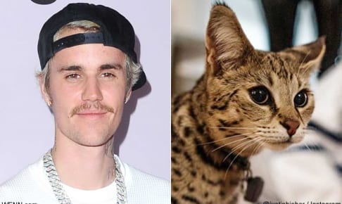 ジャスティン・ビーバーと、愛猫のスシ
