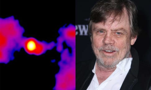スター・ウォーズ銀河（左）、マーク・ハミル