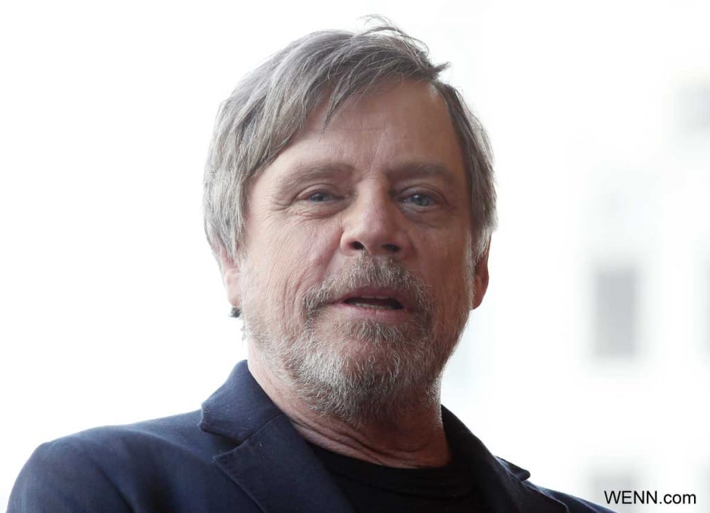 mark-1024x740.jpg