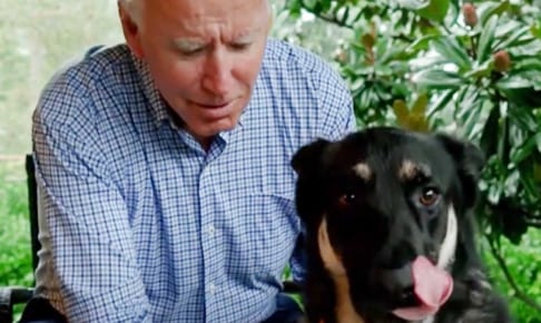 ジョー・バイデンと、愛犬メジャー