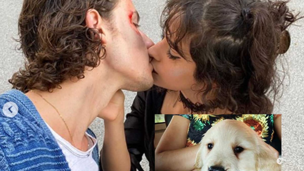カミラ カベロ ショーン メンデス 新しい家族をお迎え 可愛すぎる子犬に2人がつけた名前は 写真あり Tvgroove カミラ カベロ ショーン メンデス 新しい家族をお迎え 可愛すぎる子犬に2人がつけた名前は 写真あり Tvgroove
