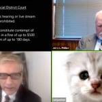 猫フィルターのまま会議に出席した弁護士