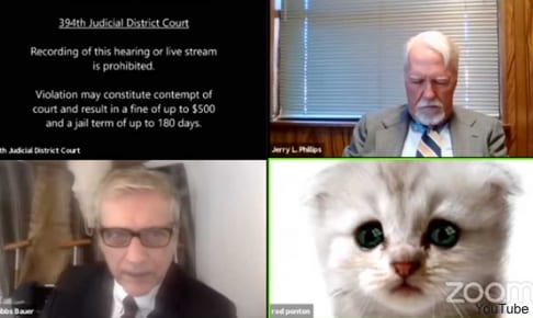 猫フィルターのまま会議に出席した弁護士