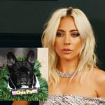 レディー・ガガと愛犬の1匹