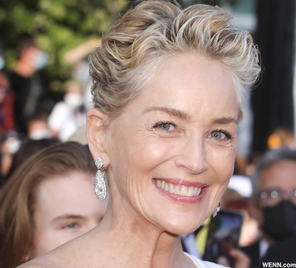 シャロン・ストーン 氷の微笑 『氷の微笑』シャロン・ストーン、これまで９人の子どもを流産したことを明かす「流産は肉体的にも精神的にも小さなことではない」 - tvgroove