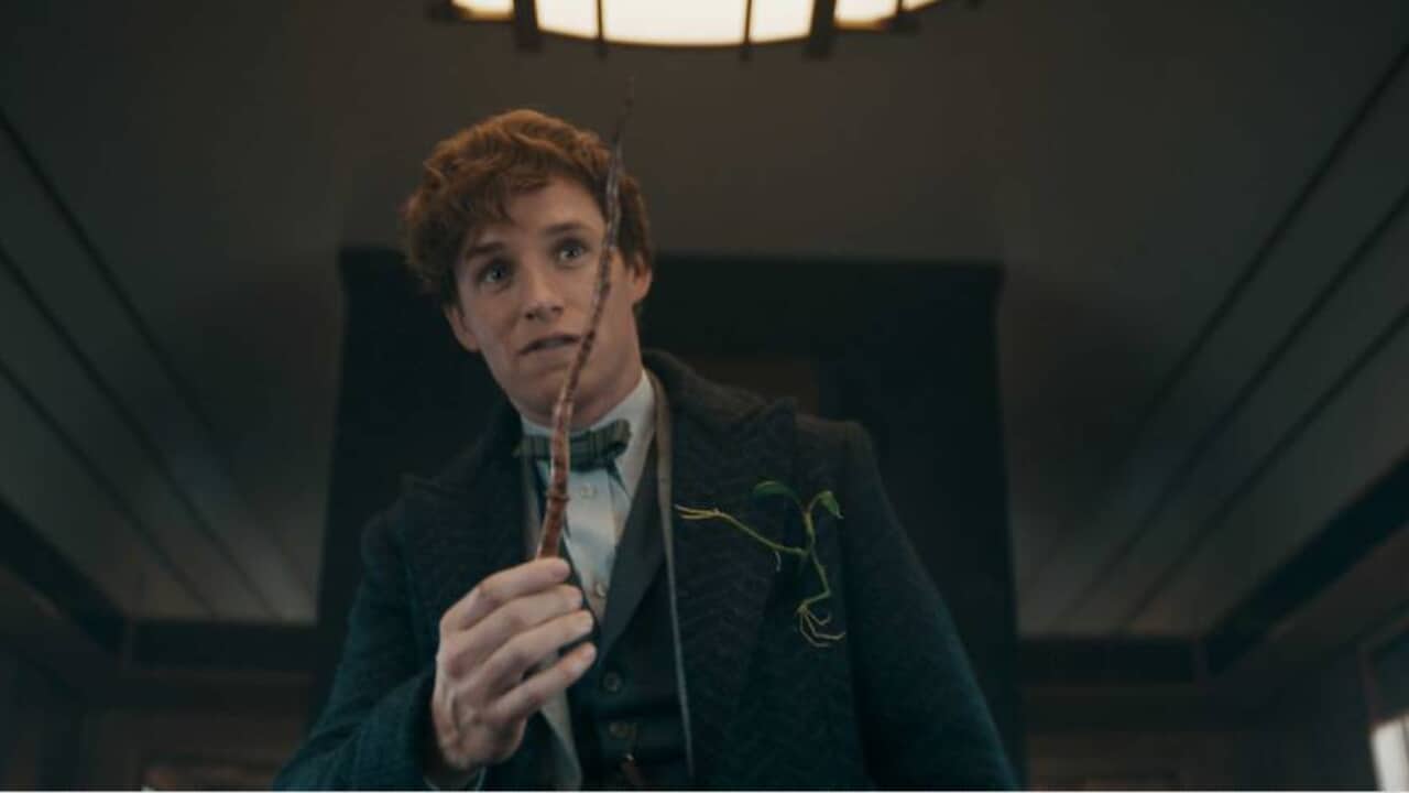 ファンタスティック ビーストとダンブルドアの秘密 吹替版スポット映像が解禁 宮野真守 ニュート役 森川智之 ダンブルドア先生役 続投 グリンデルバルド役に井上和彦が参戦決定 Tvgroove