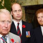 左からチャールズ国王、ウィリアム皇太子、ヘンリー王子（2017年） Photo: Tim Rooke/Shutterstock