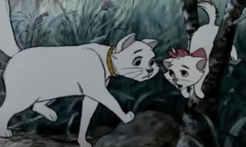 『おしゃれキャット』