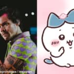 ハリー・スタイルズと、ハチワレ