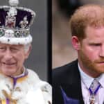 チャールズ国王と、ヘンリー王子 Photo: Julian Simmonds/Shutterstock, James Veysey/Shutterstock