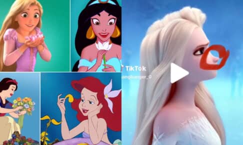 ディズニープリンセスの鼻の何が問題なの・・？ @disneyprincessjp / Instagram, @gangbanger_0 / TikTok
