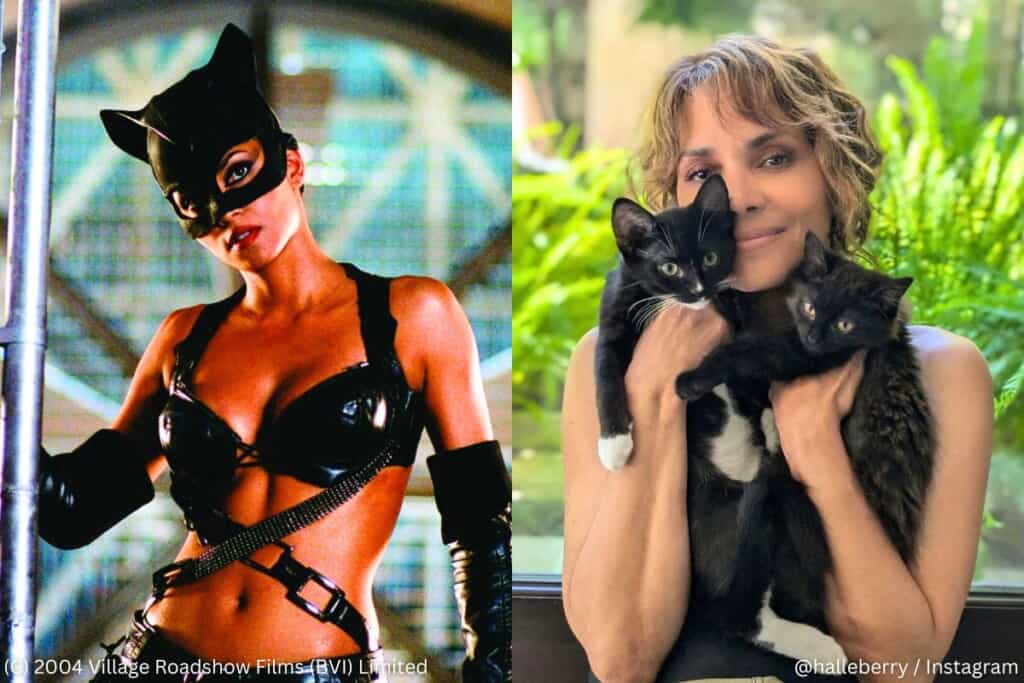 ハル・ベリー直筆サイン入り2Lサイズ写真…Halle Berry…キャット