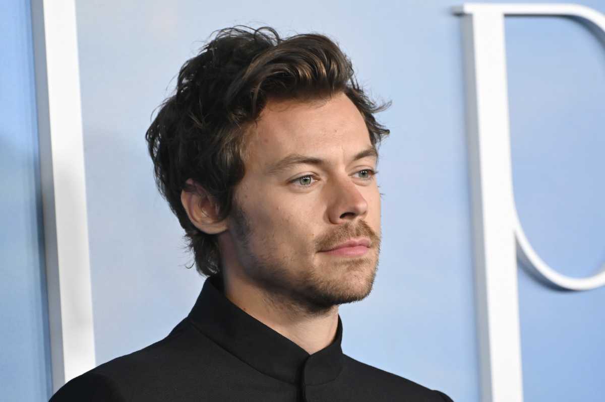 ハリー・スタイルズ photo: Featureflash Photo Agency / Shutterstock.com